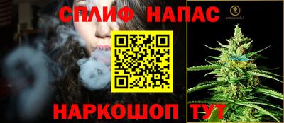 гашик Гусиноозёрск