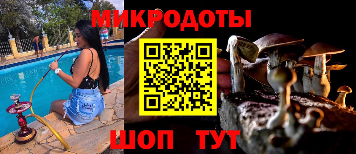 Галлюциногенные грибы прущие грибы Дюртюли