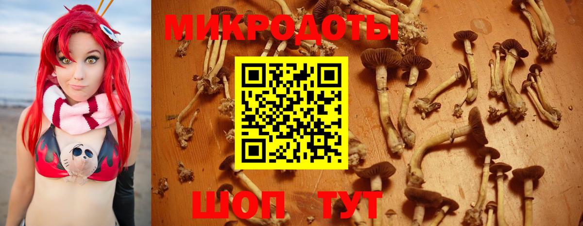 Псилоцибиновые грибы прущие грибы  Вход с VPN  Дюртюли 